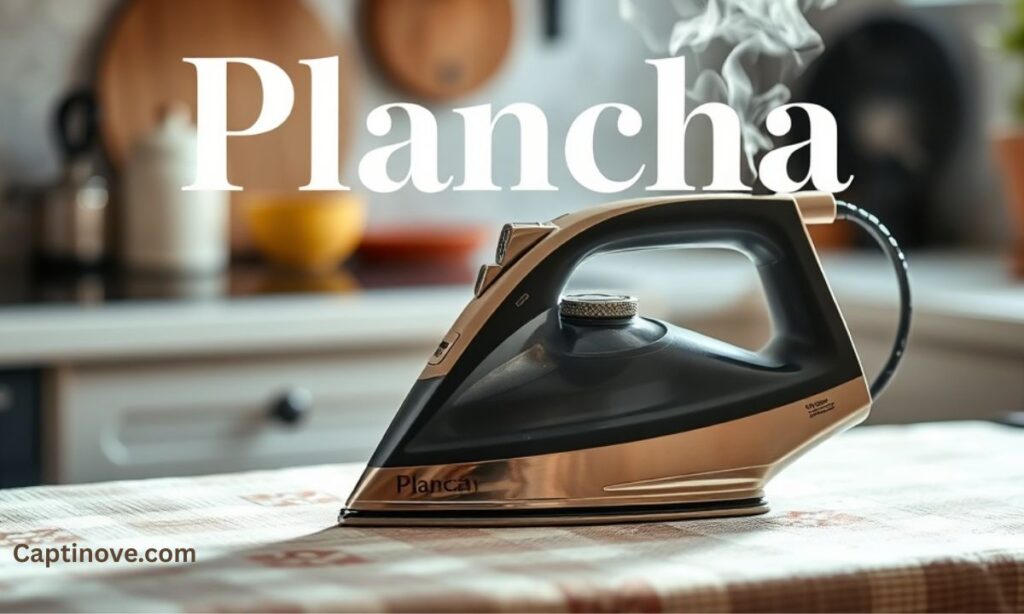 Plancha as a Household Appliance – The Iron