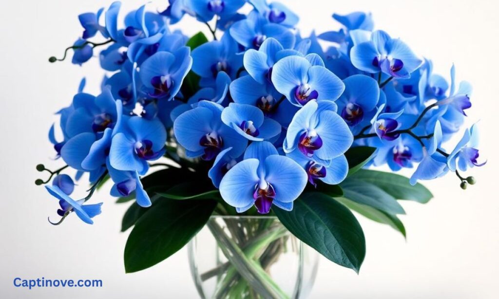 Blue Orchid Bouquet