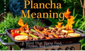 Plancha Meaning Uncovered A Word That Spans Food, Fitness, and Culture (1)